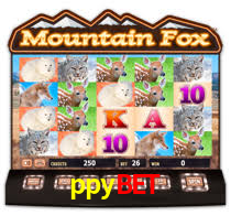 ppybet