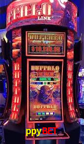 Cashback e recargas na ppybet